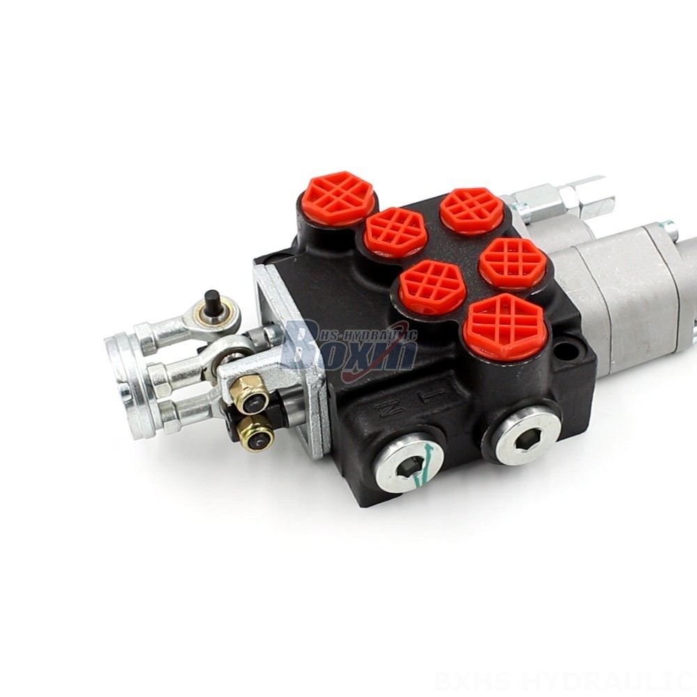 Solenoid Operated Dcv Customizable P40-G12-G38-OT-QTW Directional Valve | Tailored Solutions main image